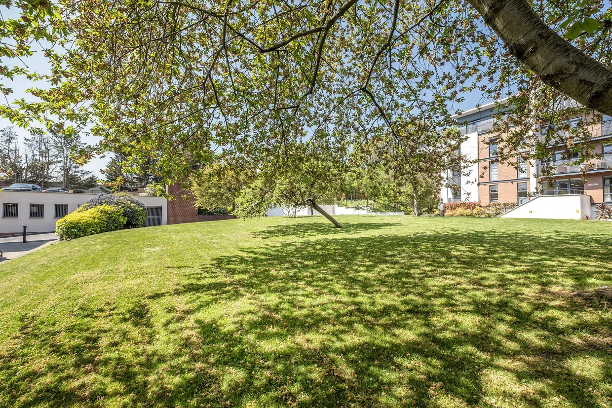 Scott Avenue, London, SW15 photo 9