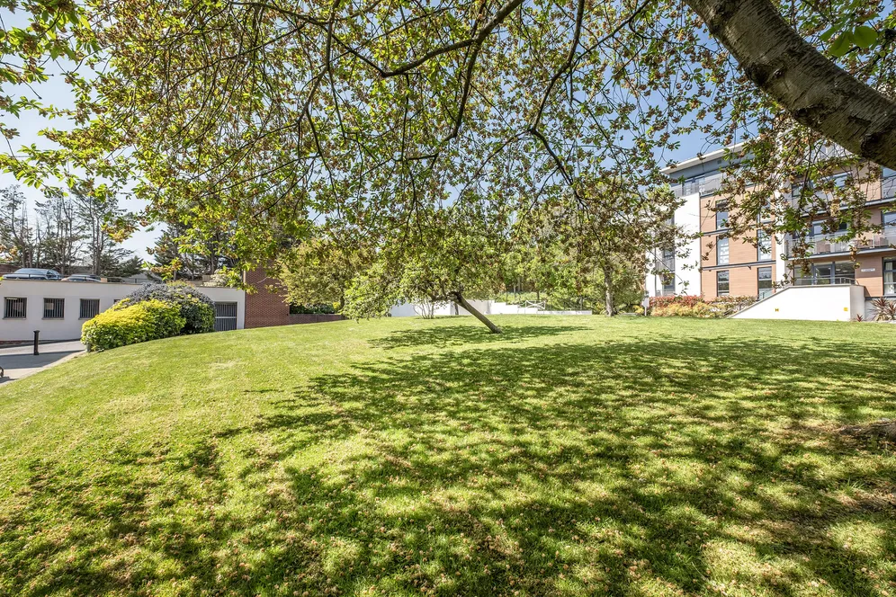 Scott Avenue, London, SW15 photo 9