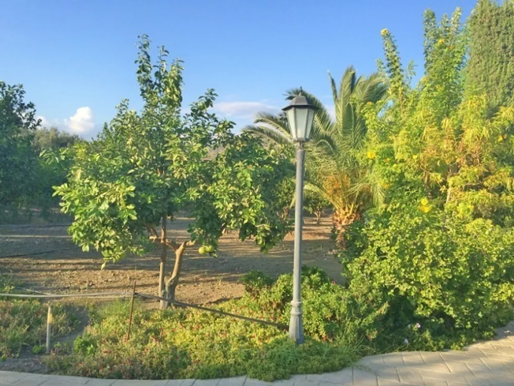 4 B/R Villa : Limassol, Monagrouli