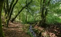 Property image gallery