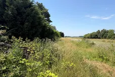 Hospital Drove, Long Sutton, Spalding