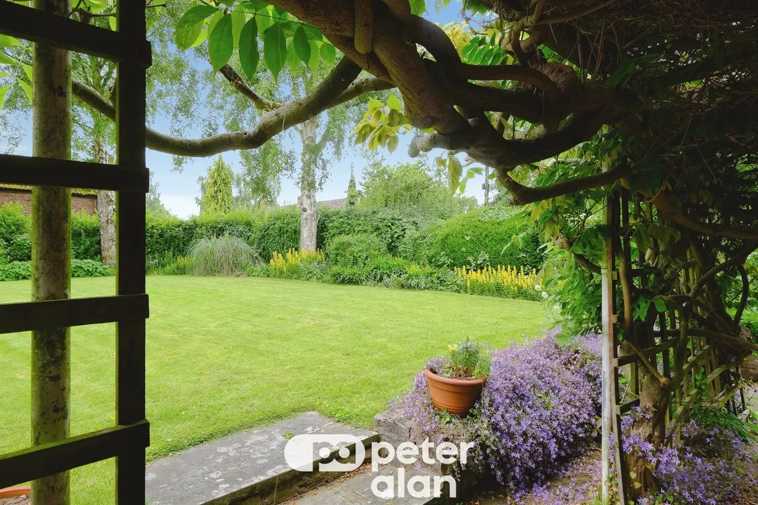 Property photo 19