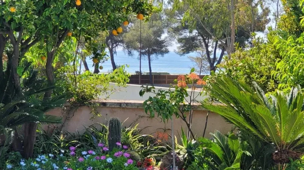 Sainte-Maxime, 83120, France