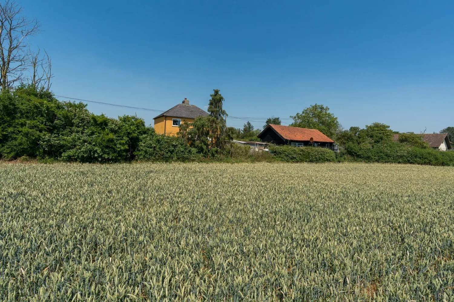 Wigborough Road, Peldon, CO5 photo 29