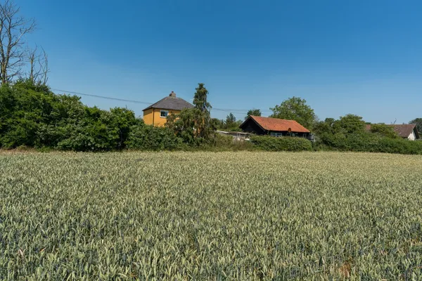 Wigborough Road, Peldon, CO5 photo 29