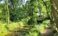 Property image gallery