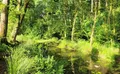 Property image gallery
