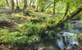 Property image gallery