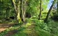 Property image gallery