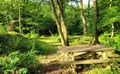 Property image gallery