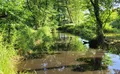 Property image gallery