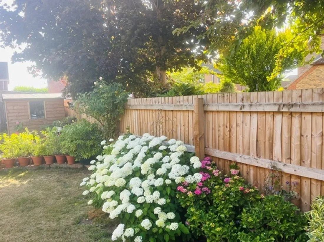 Property photo 16