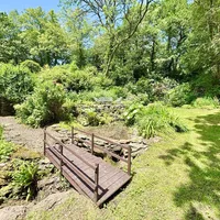 Property 31
