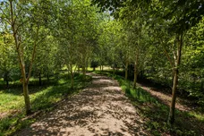 The Green, Edge, Stroud, GL6 photo 22