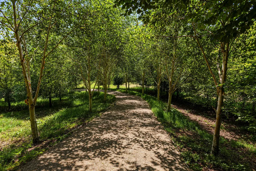 The Green, Edge, Stroud, GL6 photo 22