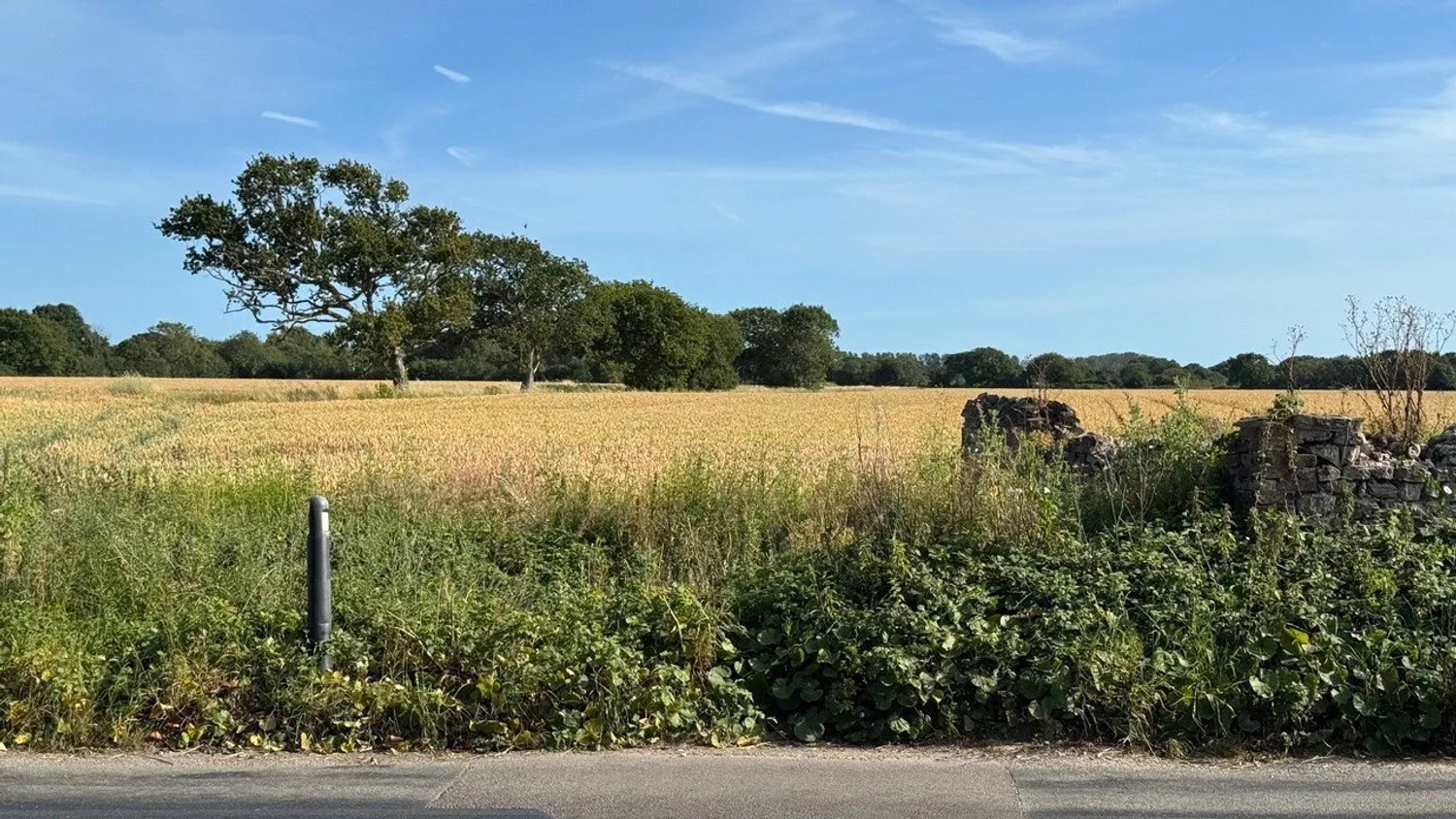 Lockgate Road, Sidlesham Common, PO20 photo 19