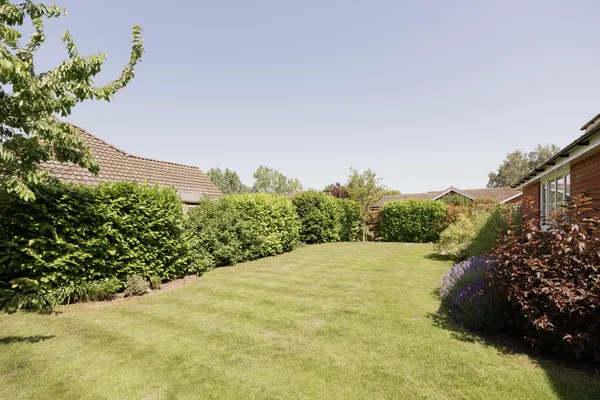 Colegate End Road, Pulham Market, IP21 photo 19