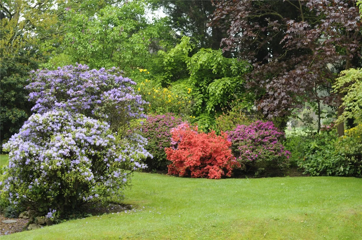 Chart Lane, Brasted Chart, Westerham, TN16 photo 25