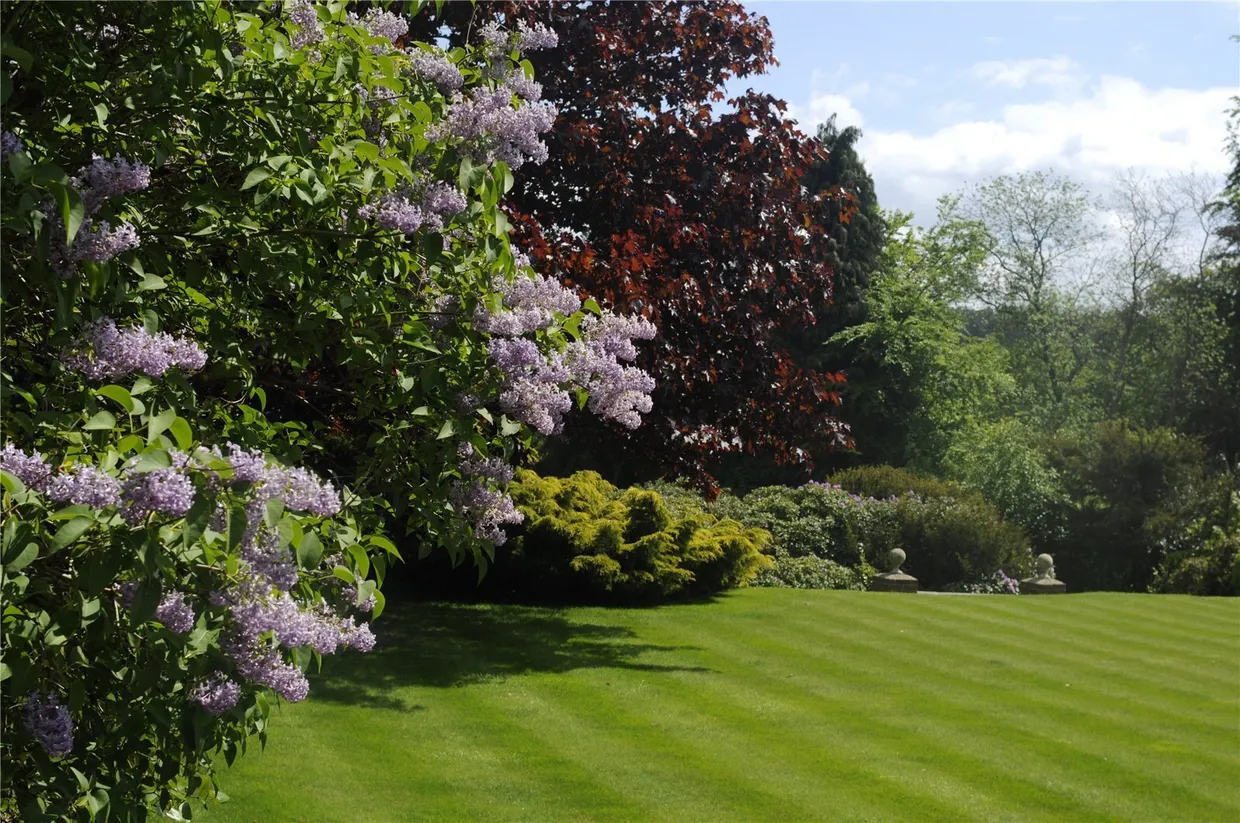 Chart Lane, Brasted Chart, Westerham, TN16 photo 26
