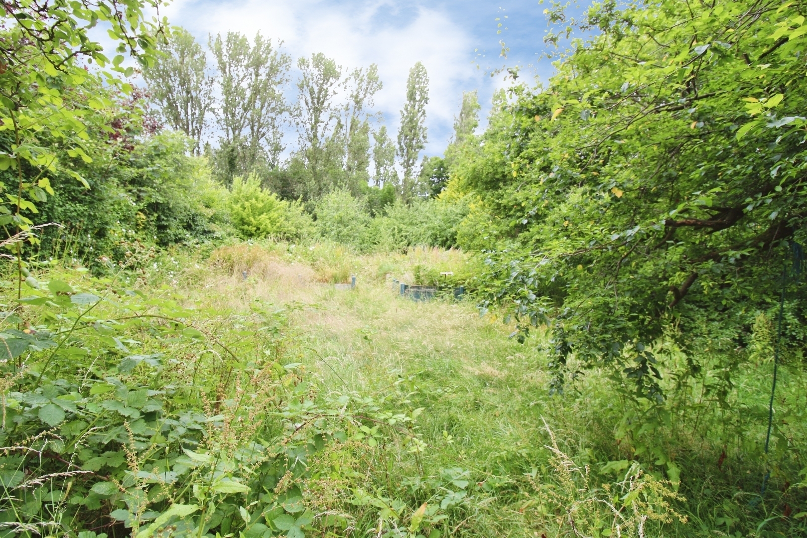 Cottingham Road, Hull Image 16