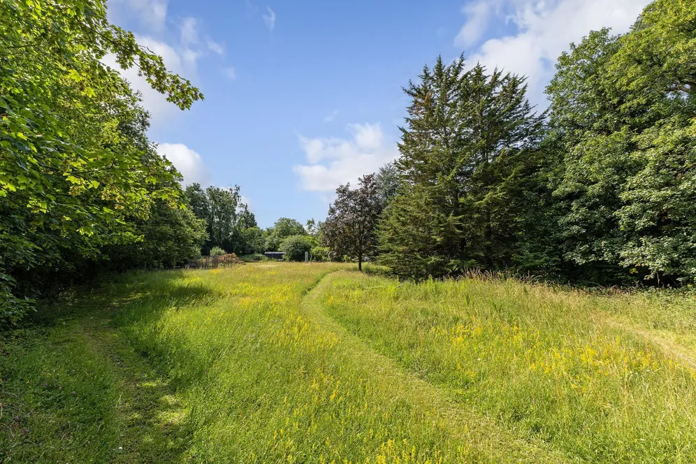 Beech Avenue, Effingham, KT24 photo 19