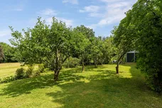 Beech Avenue, Effingham, KT24 photo 20