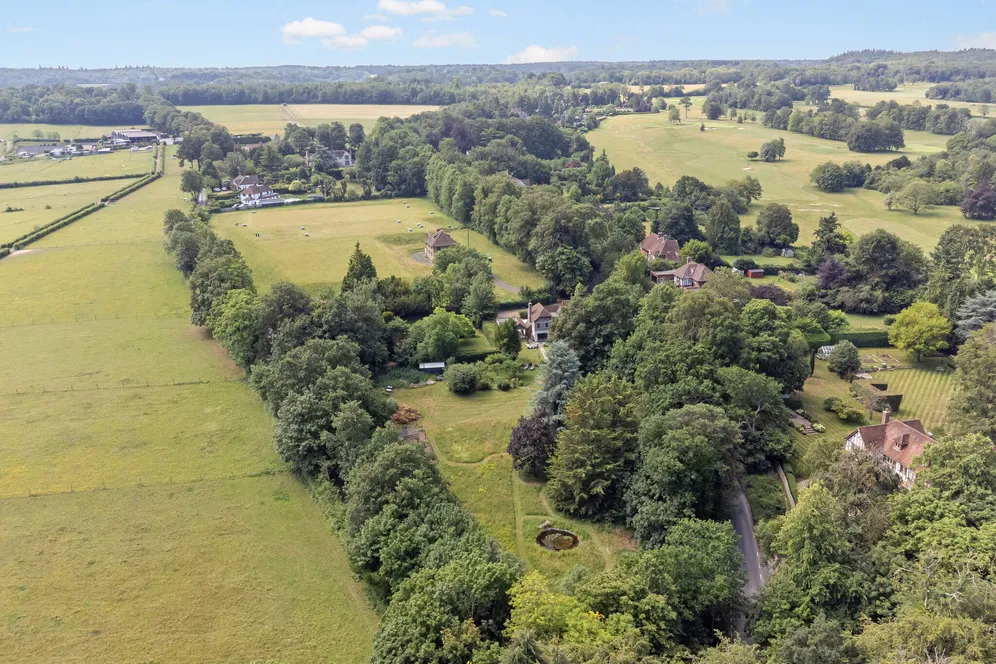 Beech Avenue, Effingham, KT24 photo 26