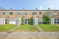 Ilex Close, Colchester