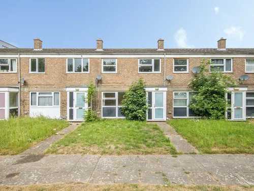 Ilex Close, Colchesterphoto