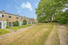 Ilex Close, Colchester