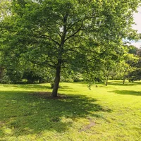 Property 40