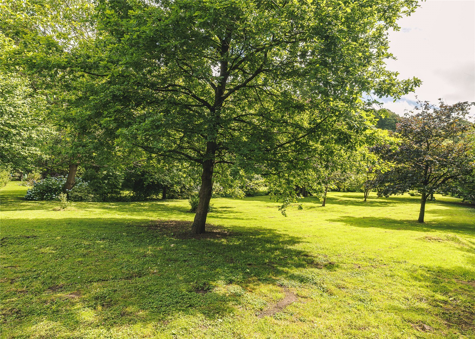 Deepdean, Ross-on-Wye, Herefordshire, HR9 Image 40