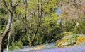 Property image gallery