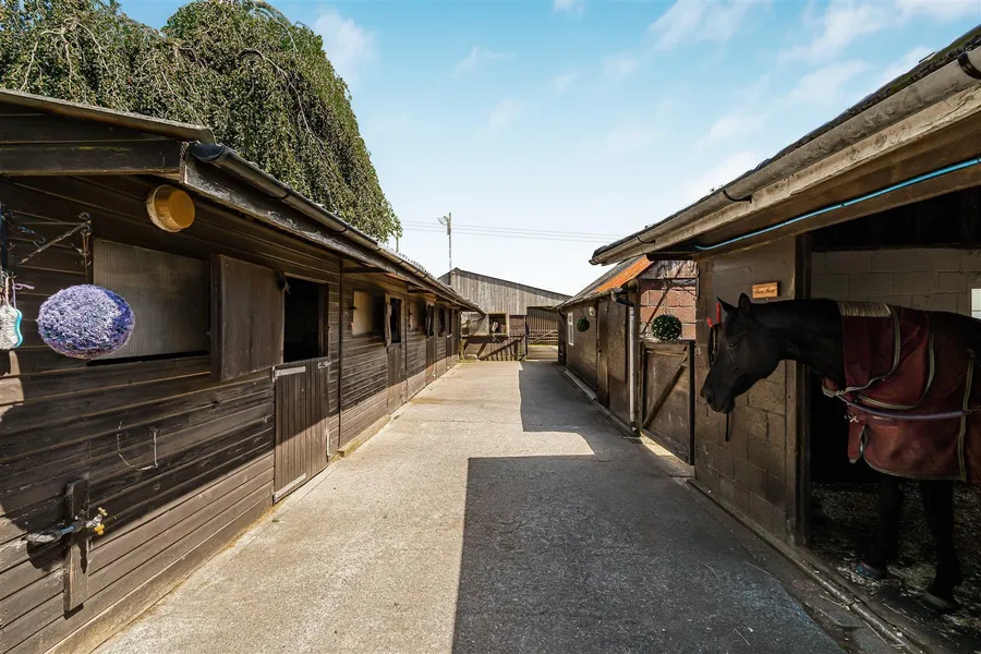 Property Image 29