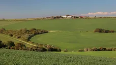 The Old Racecourse Lewes BN7 photo 4