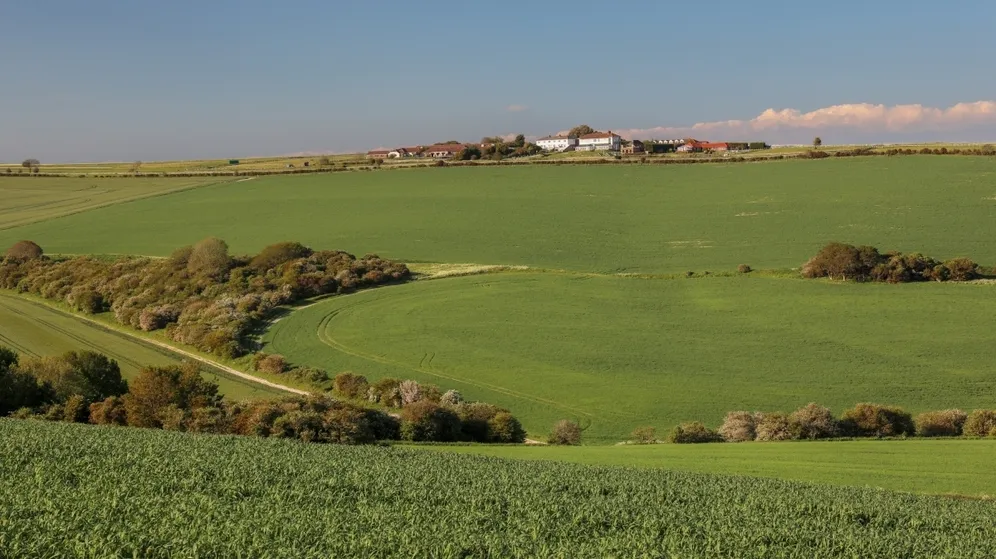 The Old Racecourse Lewes BN7 photo 4