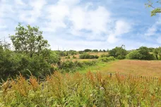 Willow Drive, Harrogate