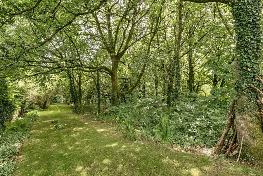 Property Image 33