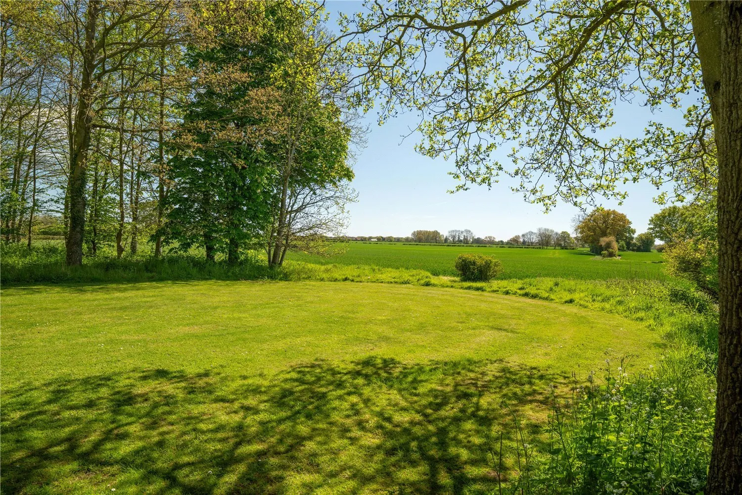 Washbrook, Ipswich, IP8 photo 25