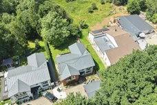 Collins Meadow, HARLOW