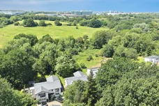 Collins Meadow, HARLOW