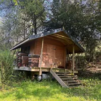 Property 29