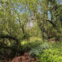 Property 31