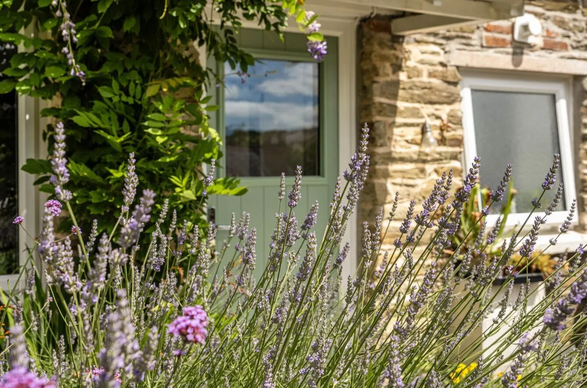 Wistaria Place, Kingsbridge