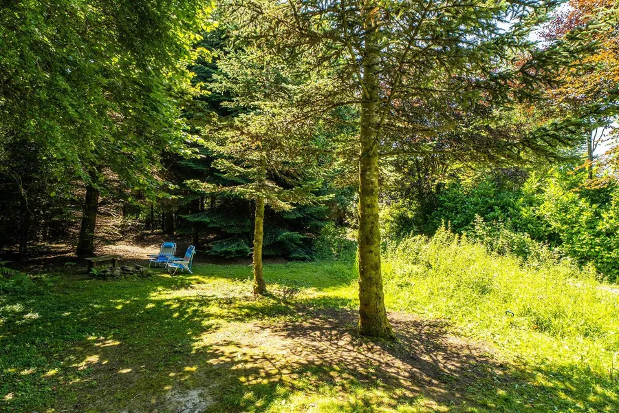 Property Image 58