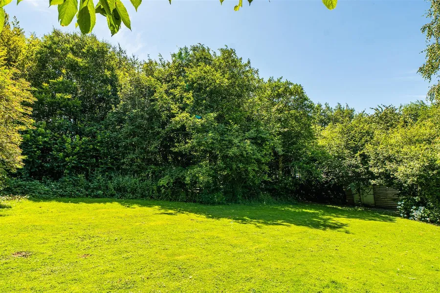 Property Image 60