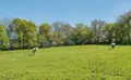 Property image gallery