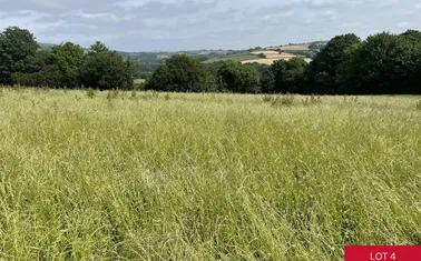 Avonwick, South Brent