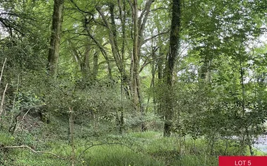Avonwick, South Brent