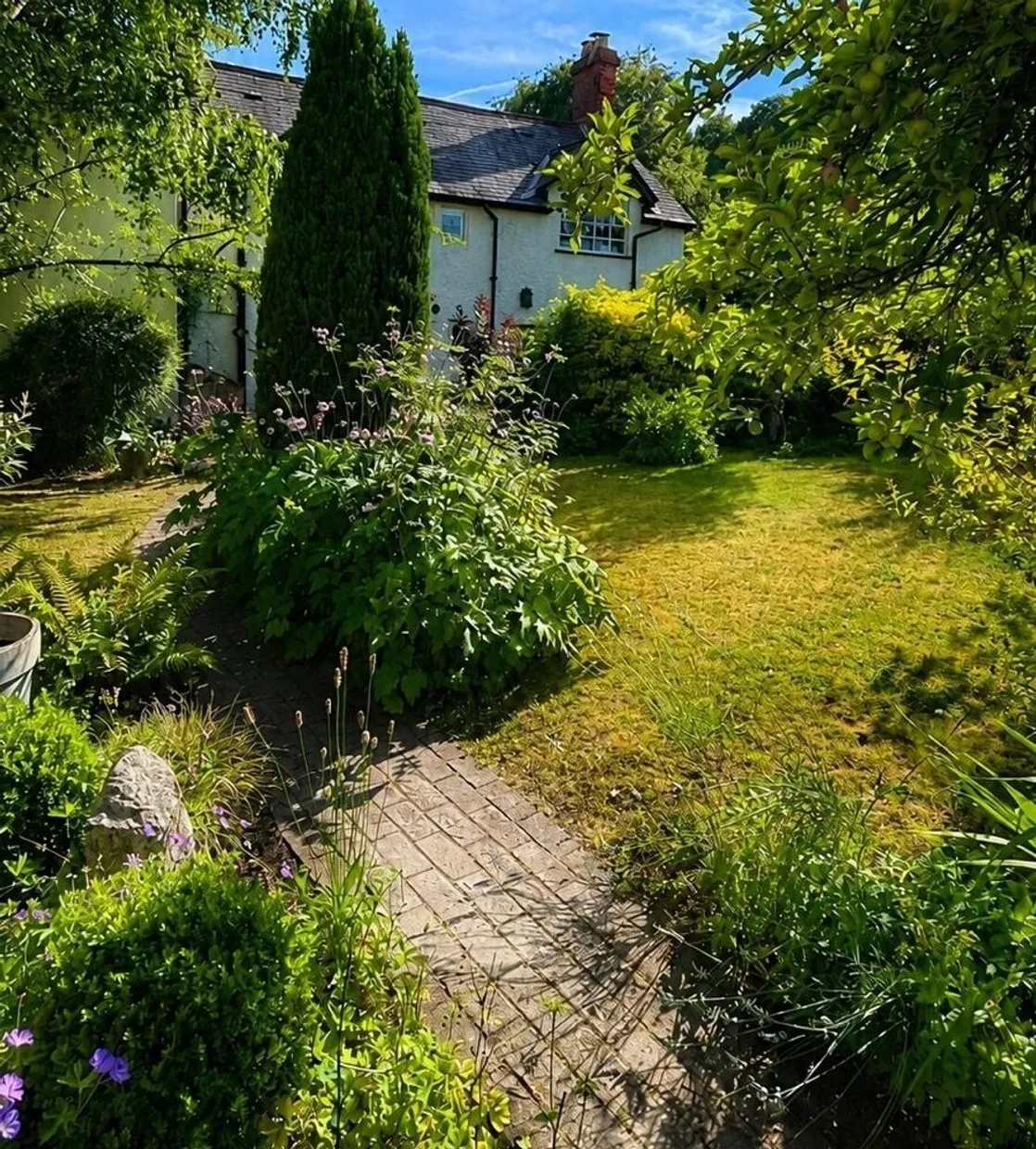 Fountain Road, Selborne, GU34 photo 13